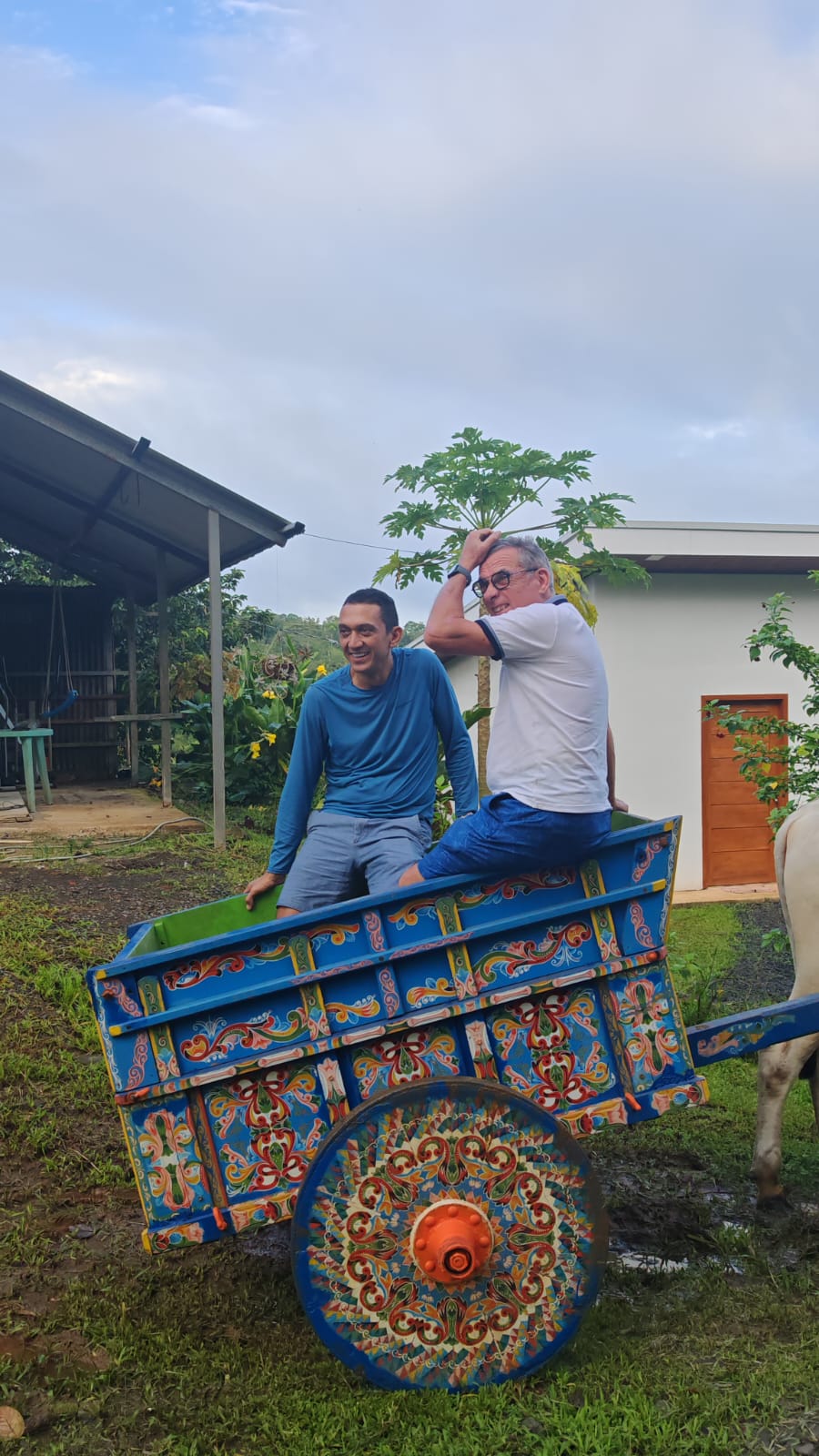 Guaro Night Tour y Cena BBQ