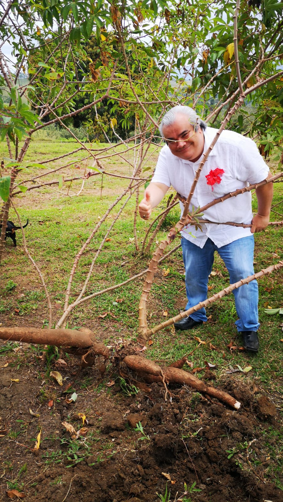 Cultour: Experiencia Cultural